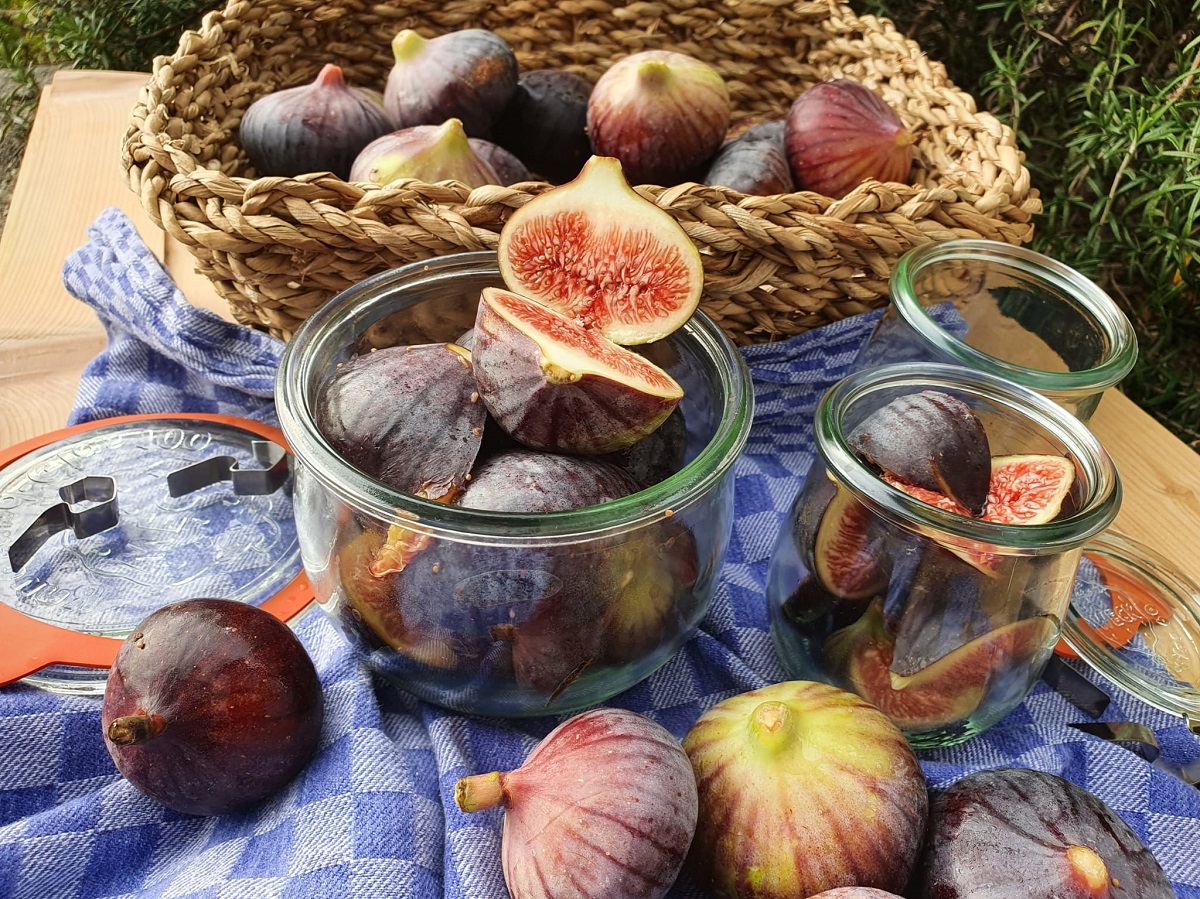 Feigen mit Crème de Cassis erntefrisch eingeweckt | Neues | Delikat Essen