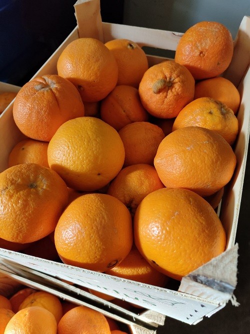 Naturorangen mit Grand Marnier | Neues | Delikat Essen