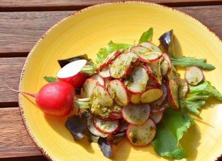 D-017-Radieslesalat-mit-Baerlauch-red